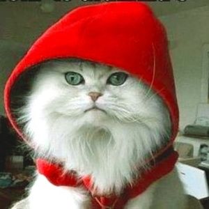 Meet your Posher, Lindsay